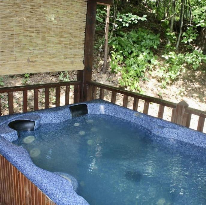 Rustic Black Bear Cabin Pigeon Forge Luaran gambar